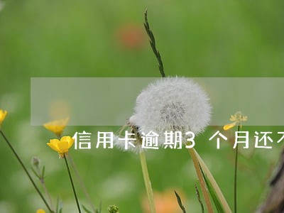 信用卡逾期3个月还不上怎么办 信用卡逾期3个月还不上怎么办