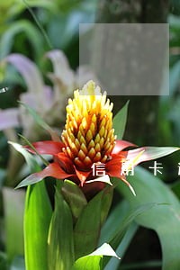 信用卡逾期3个月还了可以吗 信用卡逾期3个月还了可以吗