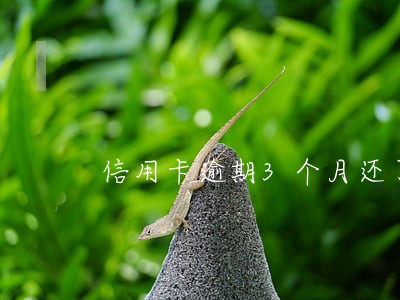 信用卡逾期3个月还了部分