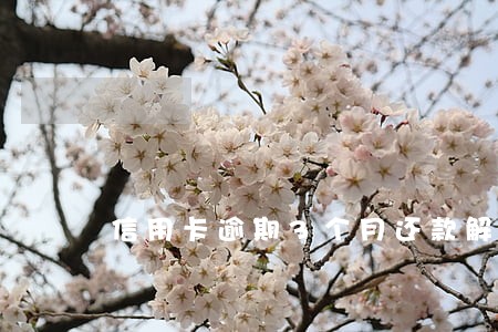 信用卡逾期3个月还款解冻 信用卡逾期3个月还款解冻