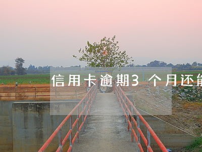 信用卡逾期3个月还能还进款