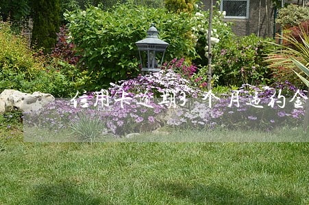 信用卡逾期3个月违约金多少 信用卡逾期3个月违约金多少