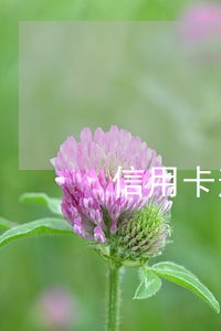 信用卡逾期3个月违约金计算 信用卡逾期3个月违约金计算