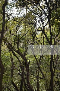 信用卡逾期3个月金额一万