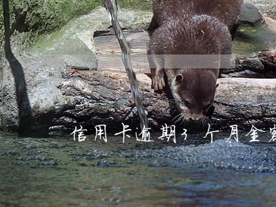信用卡逾期3个月金额为两万 信用卡逾期3个月金额为两万
