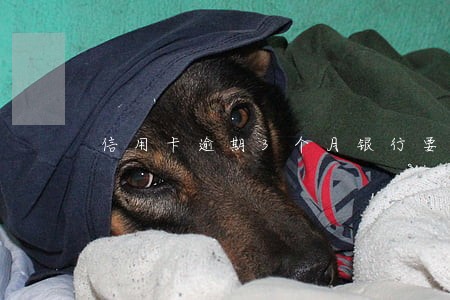 信用卡逾期3个月银行要起诉 信用卡逾期3个月银行要起诉