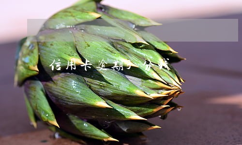 信用卡逾期3分钱 信用卡逾期3分钱