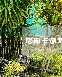 信用卡逾期3到5天会这么办