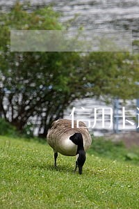信用卡逾期3千元2年了 信用卡逾期3千元2年了