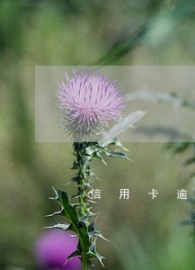 信用卡逾期3千左右会起诉吗