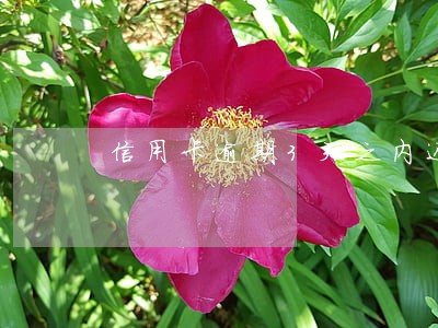 信用卡逾期3天之内还款影响吗