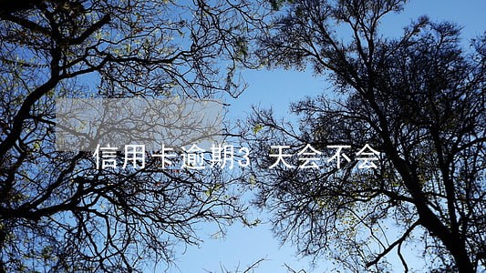 信用卡逾期3天会不会 信用卡逾期3天会不会