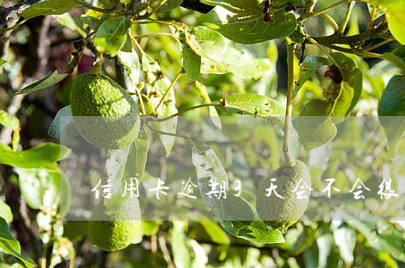 信用卡逾期3天会不会很严重