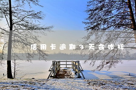 信用卡逾期3天会咋样