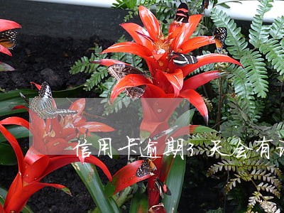 信用卡逾期3天会有记录吗