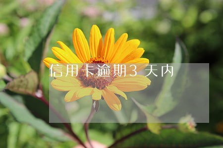 信用卡逾期3天内 信用卡逾期3天内