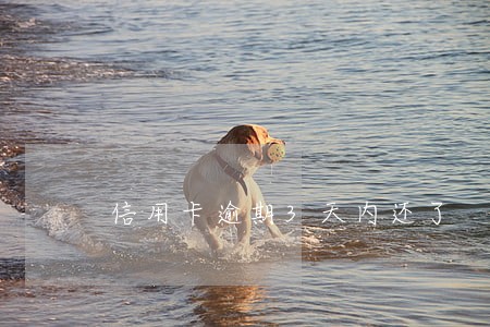 信用卡逾期3天内还了