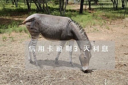 信用卡逾期3天利息 信用卡逾期3天利息
