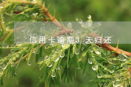 信用卡逾期3天归还 信用卡逾期3天归还