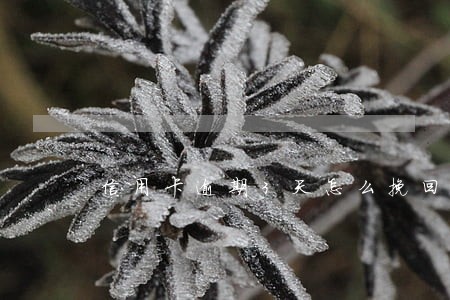 信用卡逾期3天怎么挽回 信用卡逾期3天怎么挽回
