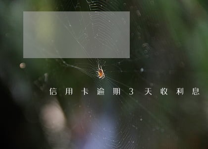 信用卡逾期3天收利息
