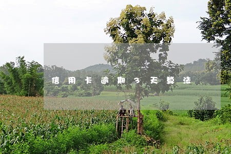 信用卡逾期3天算法 信用卡逾期3天算法