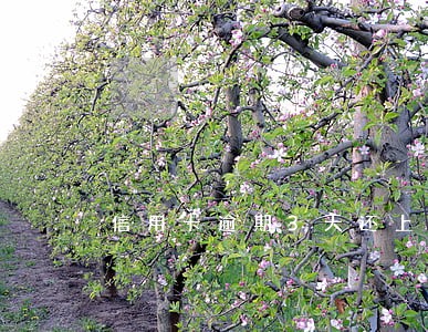 信用卡逾期3天还上没事吧 信用卡逾期3天还上没事吧