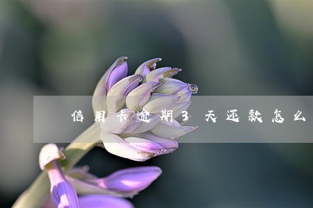 信用卡逾期3天还款怎么算 信用卡逾期3天还款怎么算