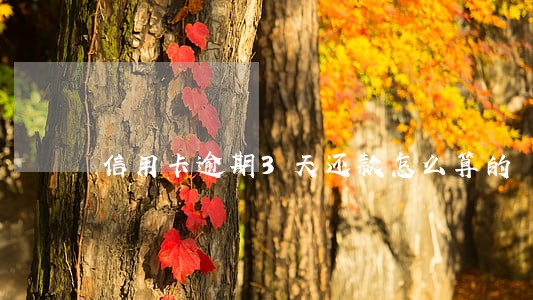 信用卡逾期3天还款怎么算的 信用卡逾期3天还款怎么算的