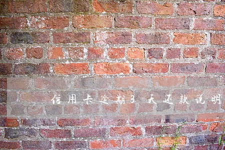 信用卡逾期3天还款说明