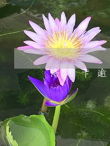 信用卡逾期3天还能用吗 信用卡逾期3天还能用吗