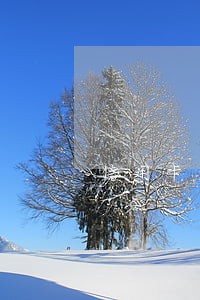 信用卡逾期3天销户 信用卡逾期3天销户
