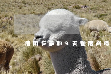 信用卡逾期3天额度降低600