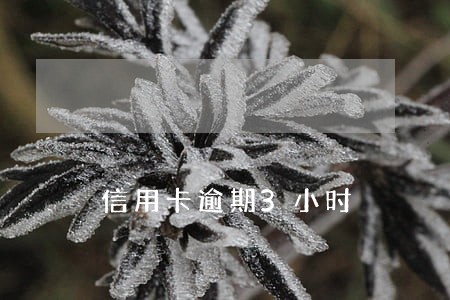 信用卡逾期3小时 信用卡逾期3小时