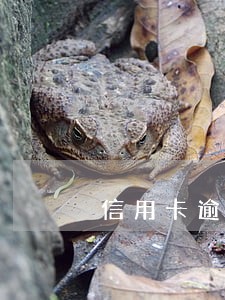 信用卡逾期3年了会抓人吗 信用卡逾期3年了会抓人吗