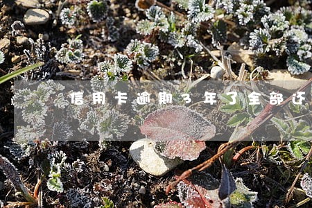 信用卡逾期3年了全部还清 信用卡逾期3年了全部还清