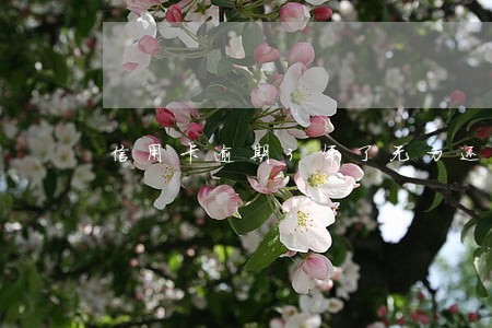 信用卡逾期3年了无力还款 信用卡逾期3年了无力还款
