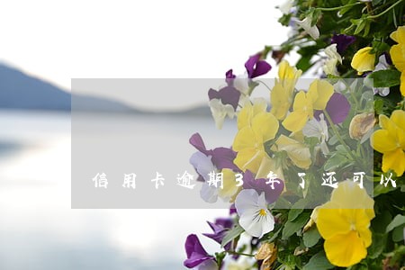信用卡逾期3年了还可以注销吗 信用卡逾期3年了还可以注销吗