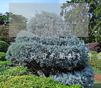 信用卡逾期3年会变成呆账吗