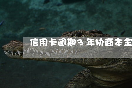 信用卡逾期3年协商本金