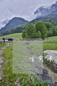 信用卡逾期3年可以少还利息吗 信用卡逾期3年可以少还利息吗