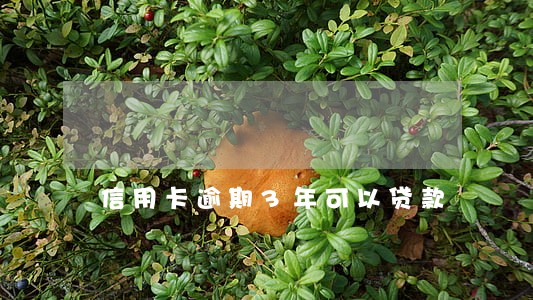 信用卡逾期3年可以贷款 信用卡逾期3年可以贷款