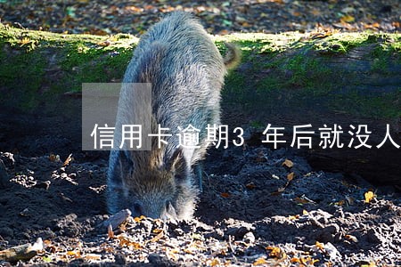 信用卡逾期3年后就没人催了 信用卡逾期3年后就没人催了