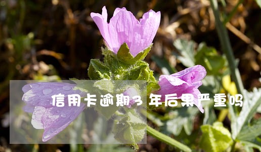 信用卡逾期3年后果严重吗
