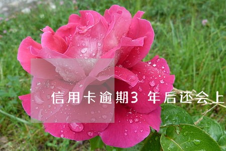 信用卡逾期3年后还会上门吗 信用卡逾期3年后还会上门吗