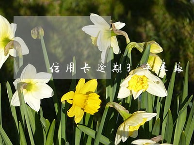 信用卡逾期3年呆账 信用卡逾期3年呆账