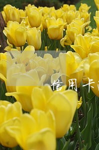 信用卡逾期3年咋办 信用卡逾期3年咋办