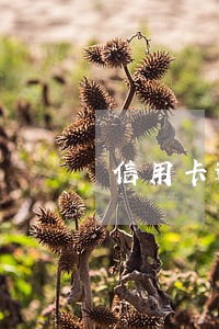 信用卡逾期3年多了 信用卡逾期3年多了