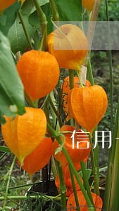 信用卡逾期3年如何处理