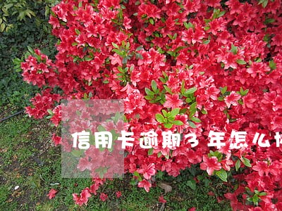 信用卡逾期3年怎么协商分期 信用卡逾期3年怎么协商分期